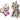 Construire un chat et un chaton