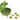 Nourrir une grenouille
