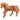Étalon poney islandais