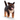 Chiot berger