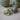 Sucettes 2-pack, 0-6 mois-vert mousse