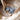 Sucettes, lot de 2, 0-6 mois, gris pierre