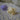 Lot de 2 sucettes +6 mois - traces pâles