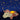 Veilleuse Twilight Buddies avec. Étoiles - licorne
